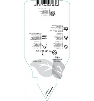 Etichette di Leptinella potentillina *