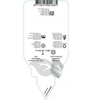 Etichette di Aster (D)  white *