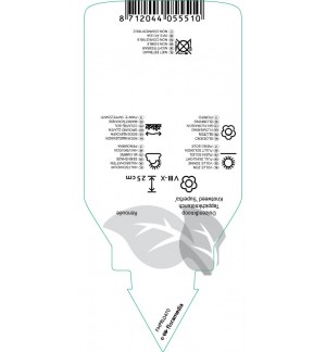 Etichette di Persicaria affinis ‘Superba’ *