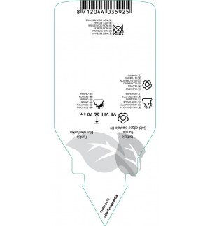 Etichette di Hosta ‘Fortunei Aureomarginata’ *