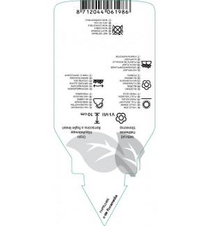 Etichette di Sedum stenopetalum *