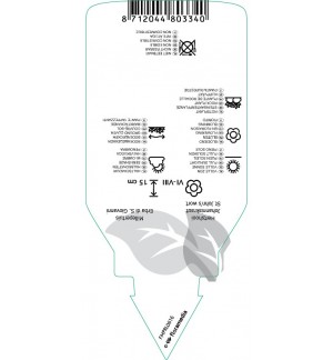 Etichette di Hypericum polyphyllum *