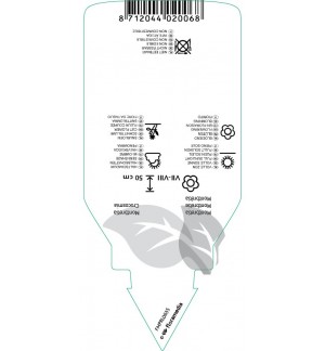 Etichette di Crocosmia ‘Emily McKenzie’ *