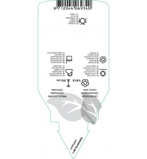 Etichette di Melissa officinalis (lemon balm) *