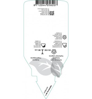 Etichette di Rodgersia pinnata *