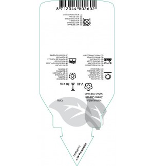 Etichette di Halimiocistus sahucii *