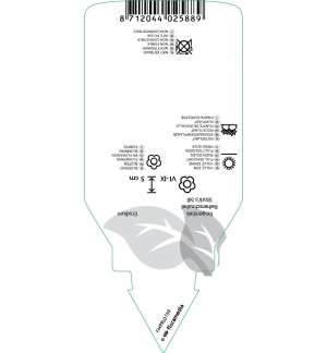 Etichette di Erodium variabile ‘Flore Pleno’ *