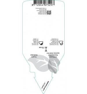 Etichette di Dryopteris erythrosora *