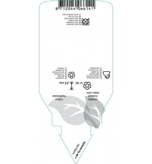 Etiquetas de Trillium sessile *