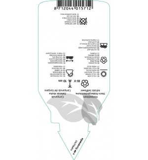 Etichette di Campanula garganica *