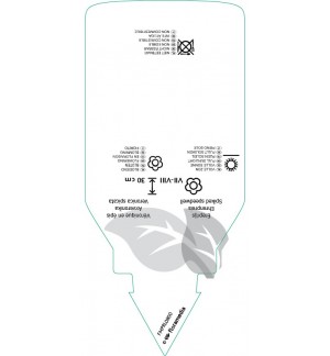 Etichette di Veronica spicata  blue *
