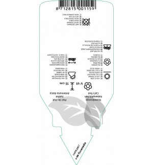 Etichette di Antennaria dioica ‘Senior’ *
