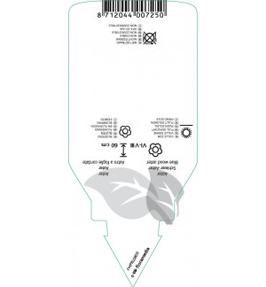 Etichette di Aster cordifolius *