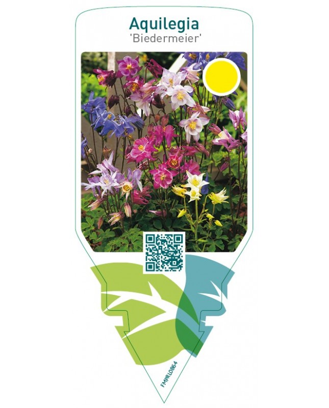 Aquilegia ‘Biedermeier’
