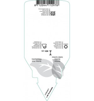 Etichette di Phyllostachys aurea *