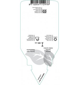 Etiquetas de Phyllostachys aurea *