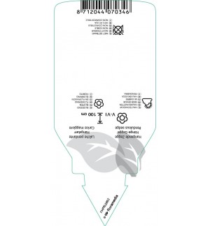 Etichette di Carex pendula *