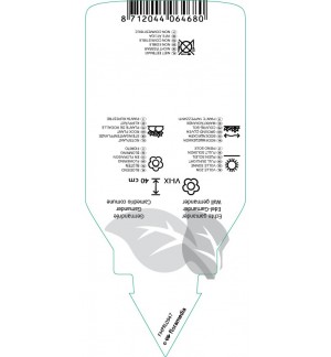 Etichette di Teucrium chamaedrys *