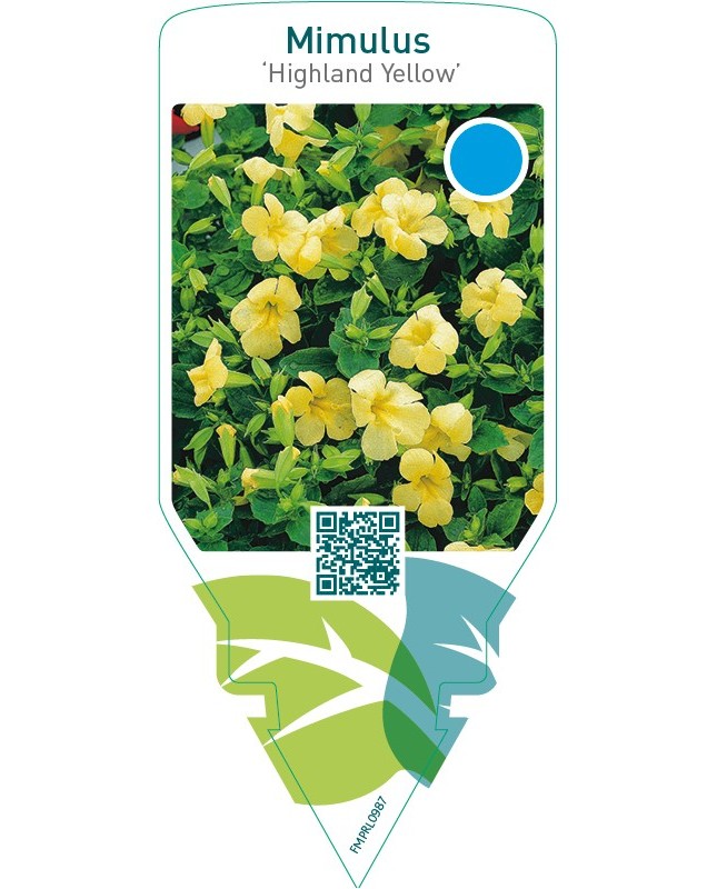 Mimulus ‘Highland Yellow’