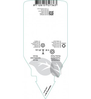 Etichette di Mimulus ‘Highland Yellow’ *