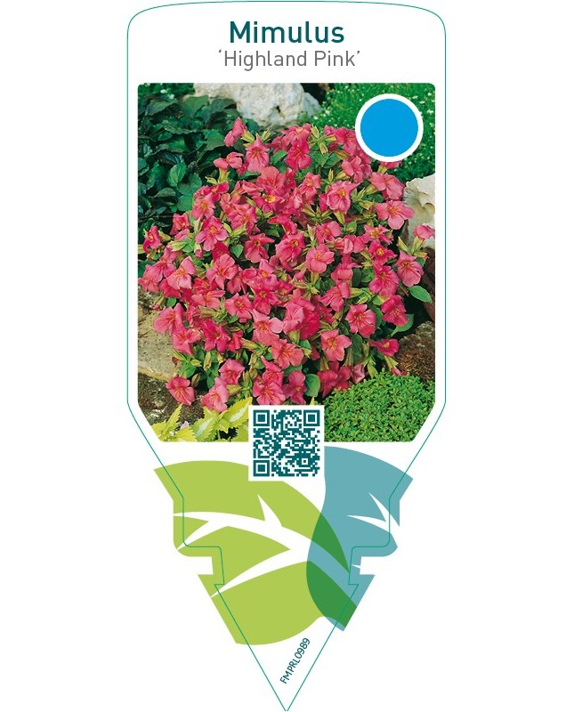 Mimulus ‘Highland Pink’