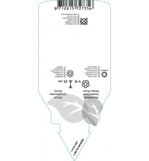 Etichette di Mimulus ‘Highland Pink’ *