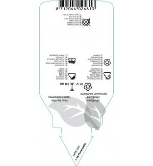 Etichette di Epimedium perralchicum ‘Frohnleiten’ *