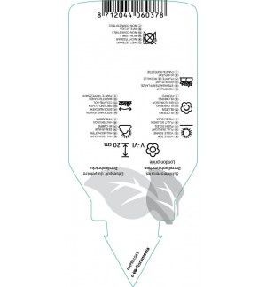 Etichette di Saxifraga urbium ‘Clarence Elliott’ *