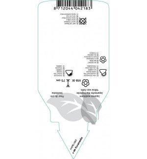 Etichette di Kirengeshoma palmata *