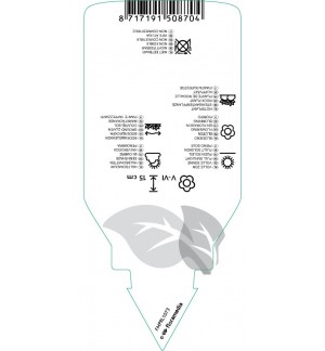 Etichette di Phlox (S)  mix *