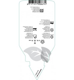 Etichette di Phlox (S)  mauve *