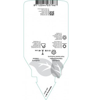 Etichette di Houttuynia cordata *