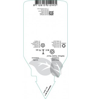 Etichette di Erysimum ‘Bowles Mauve’ *
