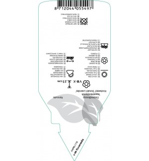 Etichette di Persicaria affinis ‘Donald Lowndis’ *