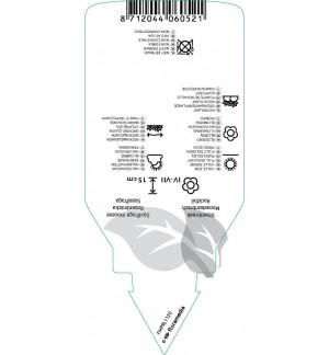 Etichette di Saxifraga (A) ‘Peter Pan’ *