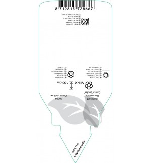 Etiquetas de Canna ‘Lucifer’ *