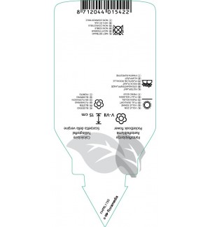 Etichette di Calceolaria biflora  yellow *