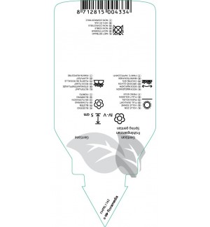 Etichette di Gentiana angulosa *