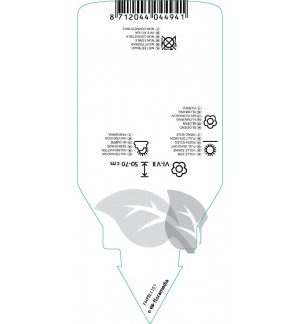 Etichette di Lupinus ‘Gallery Blue’  blue *