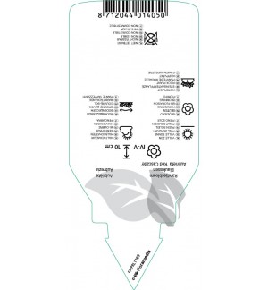 Etichette di Aubrieta ‘Cascadi Red’ *