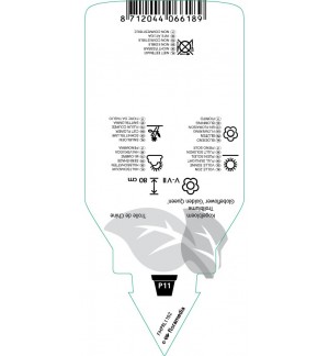 Etichette di Trollius chinensis ‘Goldin Queen’ *