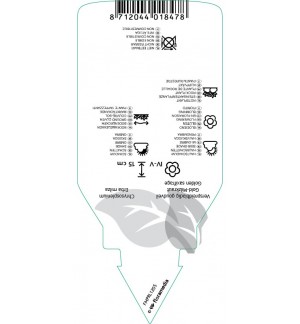 Etichette di Chrysosplenium alternifolium *