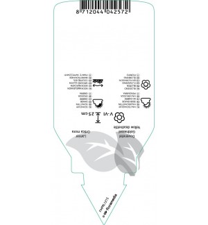 Etichette di Lamiastrum galeobdolon ‘Florentinum’ *