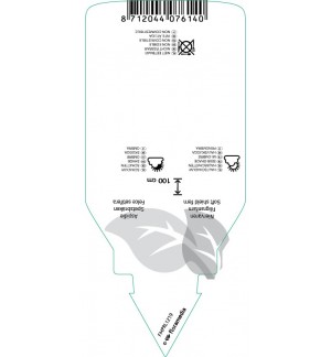 Etichette di Polystichum setiferum ‘Dahlem’ *