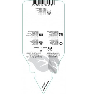 Etichette di Campanula carpatica ‘Arends Form’ *