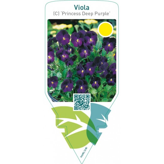 Daler-Rowney SYSTEM3 Acrilico 500 Ml - Viola Deep - Colore Per Artisti, Prodotto Nel Regno Unito