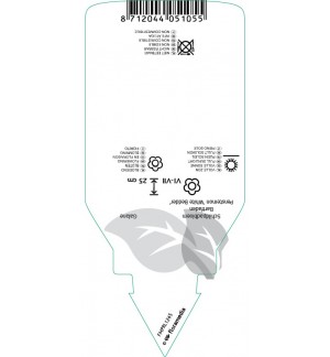 Etichette di Penstemon ‘White Beddir’ *