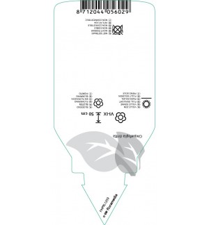 Etichette di Potentilla recta  yellow *