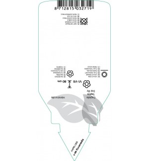 Etichette di Hemerocallis ‘Gentle Shepherd’ *