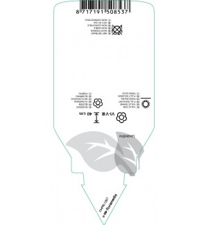 Etiquetas de Lavandula xintermedia ‘Edelweiss *